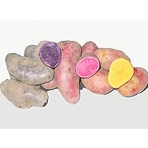 じゃがいもん Amazon.co.jp: 北海道剣淵産カラフルじゃがいも3種セット（各2Kg