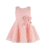 Toraway子プリンセス女の子子供用フルレース花柄ワンピースドレスパーティードレス カラー: ピンク