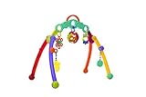Playgro 0185475 Fold and Go Playgym STEM babygym for Baby Infant Toddler [並行輸入品]