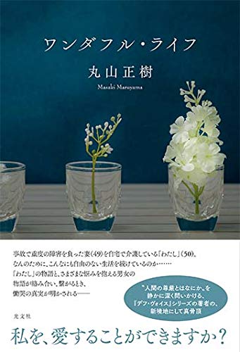 丸山正樹:ワンダフル・ライフ