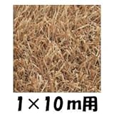 クローバーターフ　レギュラータイプ　人工芝：30mm　1ｍ×10ｍ　CTLA30 ラテ