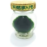 天然まりも（直径約3～4cm・コルク蓋・ガラス瓶入り・水道水で育てられます）