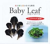 【種子】ベビーリーフ・夏用レッドサラダ 1dl