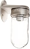 RAB Lighting VBR100 Vaporproof Glass Globe Incandescent Fixtures with Wall Mount Bracket, A19 Type, 