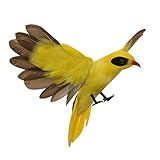 Dovewill 人工鳥　現実的　飾り　インテリア　置物　全15種選択　小道具　芝生　庭　おとり - オリオール飛行