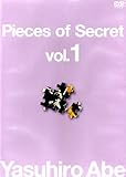 Pieces of Secret vol.1