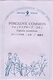 【種子】 フォックスグローブ コモン 三笠園芸