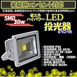 LED投光器 〔30W 3000ｋ/300W相当〕 5Mコード/電球色/暖色 防水仕様
