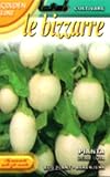 【FRANCHI社種子】【343/10】たまごナス　PIANTA DELLE UOVA