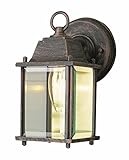 Trans Globe Lighting 40455 SWI Patrician 8" Swedish Iron Wall Lantern [並行輸入品]