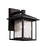 Trans Globe Lighting 40360 BK 1-Light Wall Lantern, Black [並行輸入品]