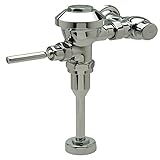 AquaVantage AV Exposed Flush Valve for Urinals [並行輸入品]