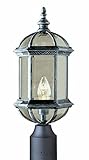 Trans Globe Lighting 4186 RT 19-3/4-Inch 1-Light Outdoor Post Top Lantern, Rust [並行輸入品]