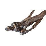 Amazon ザ 珍干物 全5種セット カプセル玩具 おもちゃ