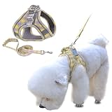 KUVEELA PET ペット用ハーネス＆リードセット 犬 猫 胴輪 反射光ストリップ付き 調節可能 お散歩 お外出 着脱簡単 小型犬 中型犬 大型犬（（スエード）ピンク XS）