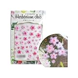 ハーバリウムクラブ ハーバリウムシール 桜 (両面印刷) HR-SKR-101