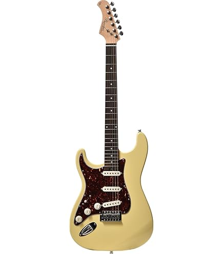 Bacchus テレキャスター　レフティ　LH Bacchus 【アウトレット】Bacchus バッカス BTE-STD-LH/R SFG