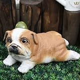信楽焼　犬　イヌ　ブルドック子犬（茶）【ok-0035】　陶器　しがらき焼　焼き物　動物　置物　ガーデンオーナメント　庭　ブルドッグ (茶)
