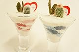 【今だけの限定価格!!!!在庫限り。】　パフェ型が可愛い♪　寄せ植え２種　観葉植物　サボテン　2個セット　透明のガラス器だからどんなお部屋にもぴったり。箱付きだからギフトにも