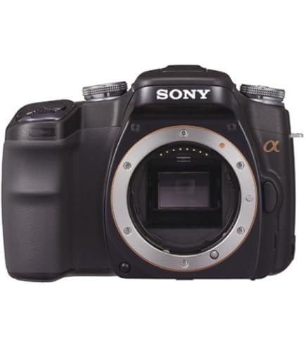 美品✨一眼レフカメラデビューに✨SONY α350✨シングルレンズ✨CFカード付 美品✨一眼レフカメラデビューに✨SONY α350✨シングルレンズ✨CF