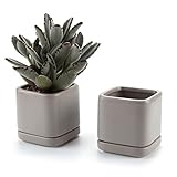 T4U 7.5CM 陶器鉢 カメオブラウンシリーズ スクエア 多肉植物 サボテン鉢 フラワーポット プランター容器 受け皿付き グレー 2個入りセット