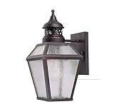 Savoy House 5-772-13 Outdoor Sconce with Pale Cream Seeded Shades, English Bronze Finish [並行輸入品]