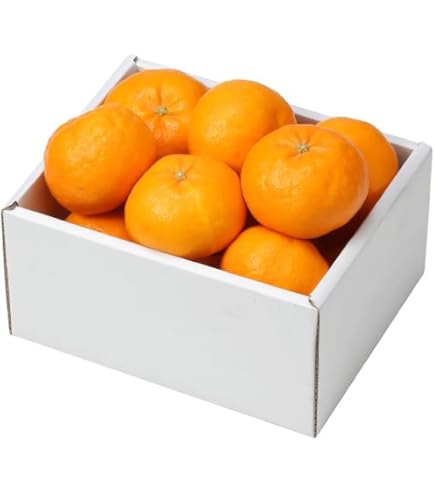 Amazon.co.jp: みかん にじゅうまる 秀品 4L～Lサイズ 2.5kg JA