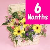 【フラワーファーム】　季節のアレンジメント-6ヶ月定期便-　【花　ギフト・宅配・誕生日・プレゼント・翌日】