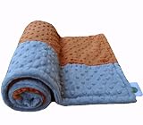 Cozy Wozy Signature Minky Baby Blanket, Rust Orange/Silver, 30 x 36 by Cozy Wozy