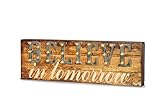 High Quality 35006 Marquee Sign Decorative Plaque, 13 by 4-1/4-Inch, Believe in Tomorrow