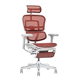 エルゴヒューマン2(ergohuman2) オフィスチェア フレーム:グレー メッシュ:レッド ヘッドレスト付き オットマン内蔵 プロ オットマン EHP2-LPL-GF-RD