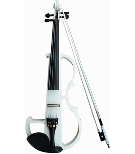 Amazon | 恵那ヴァイオリン Ena Violin Set No.10 (1/10) | バイオリン