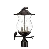 Acclaim 7567BC/SD Avian Collection 2-Light Post Mount Outdoor Light Fixture, Black Coral [並行輸入品]