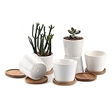 T4U 8.5CM 陶器鉢 白 円形 シンプルデザイン 植木鉢 多肉植物 サボテン鉢 竹トレイ付き 6個入り
