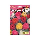 秋植え球根 お徳用 ラナンキュラス カラードミックス (430341)