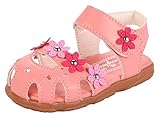 Ziweiba 女の子プリンセス シューズ ガールズサンダル 子供用歩行靴 女児夏靴 爪先保護 穴柄通気よく マジック留め 梅花モチーフ (14.5cm, B)