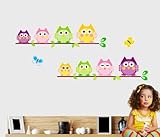 Colorful Many Expressions Owls on a Branch Wall Mural Decals Baby Boys and Girls Nursery Kids Room S