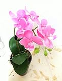 胡蝶蘭＜光触媒加工＞[ピンク] アーティフィシャルフラワー