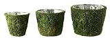 Super Moss 55110 Deco Round Basket, Tall, Pack of 3 [並行輸入品]