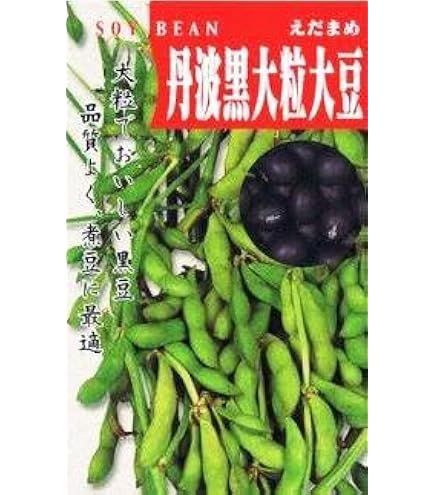 Amazon | 丹波黒大粒大豆 タキイ種苗の黒豆です | 野菜