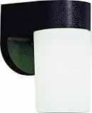 Volume Lighting V6651-5 1-Light Outdoor Wall Sconce, Black [並行輸入品]