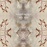 Kaleidoscope(���񐶎Y�����)