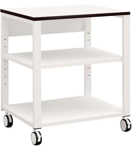 Amazon | サンワサプライ プリンタスタンド(W500×D500) LPS-T5050