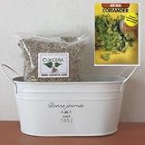 コリアンダーの栽培セット/標準セット（液体肥料なし）プランターホワイト仕様