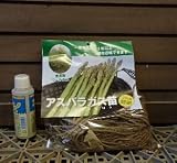 アスパラガス苗　緑アスパラガス　ウェルカム　2～3株入り
