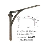 オンリーワン アングルST 250 AN　GI4-620709