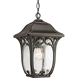 Progress Lighting P6501-84 Enchant Collection 1-Light Hanging Lantern, Espresso [並行輸入品]