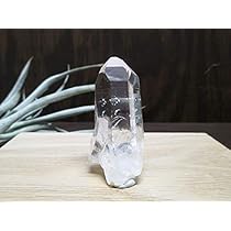 41mgWXQuveL._AC_UL210_SR210,