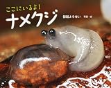 ここにいるよ! ナメクジ (ふしぎいっぱい写真絵本 24)