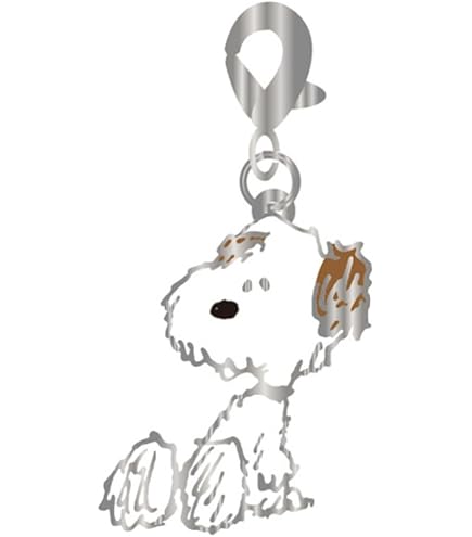 SALE中♡スヌーピー　キーハウス SNOOPY（スヌーピー） キーホルダー ハウス2 : keyshop99 Yahoo!店